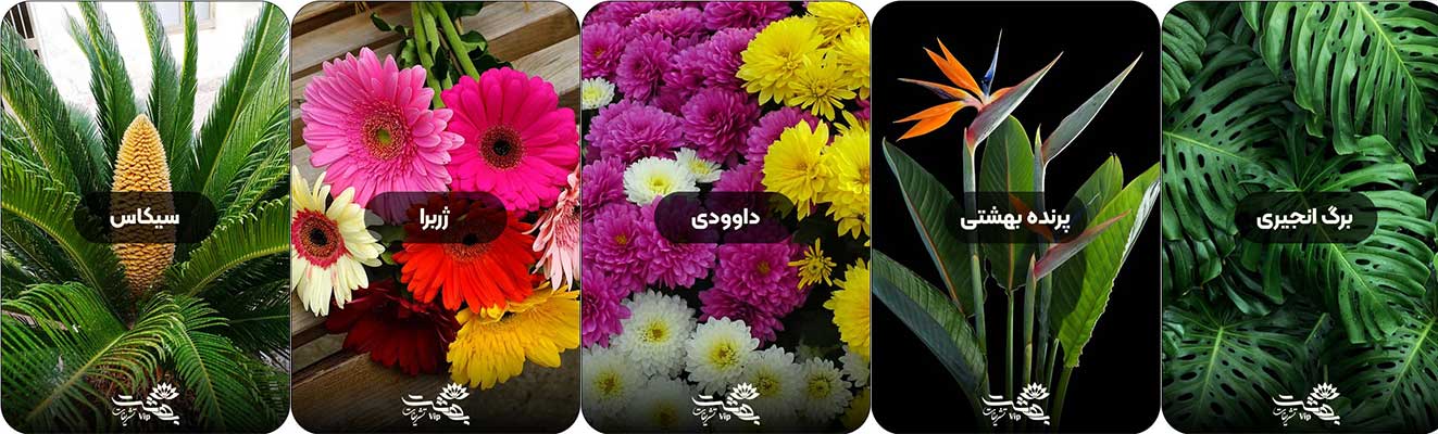 گلهای مورد استفاده در تاج گل