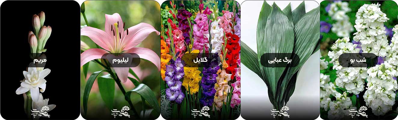 گل های مورد استفاده در تاج گل ترحیم